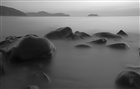dailyPhoto19